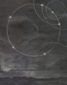 The Taiga Syndrome by Cristina Rivera Garza. Fall 2018 new releases in translation.
