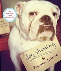 Dog Shaming book cover