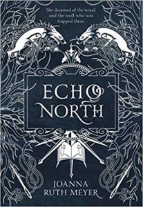 Echo North from 25 YA Books To Add To Your Winter TBR | bookriot.com