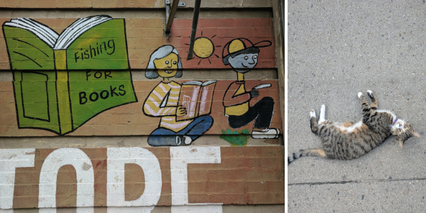 street mural that says "fishing for books" and a neighborhood cat