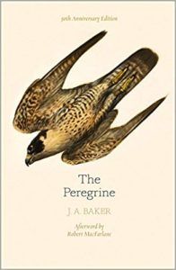 The Peregrine by J.A, Baker. How Audiobooks Help My Sleep Goals