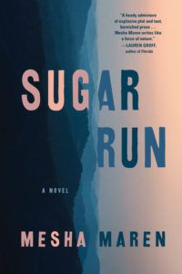 Sugar Run from Most Anticipated 2019 LGBTQ Reads | bookriot.com