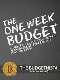 The One Week Budget Book Cover