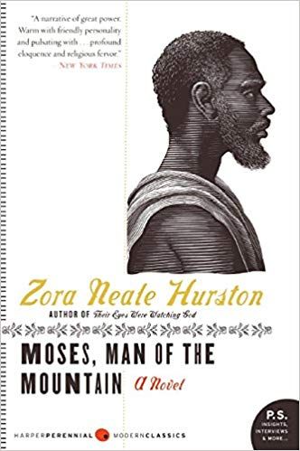 cover of moses man of the mountain
