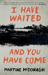 I Have Waited And You Have Come by Martine McDonagh