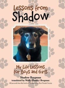 lessons from shadow by shadow bregman