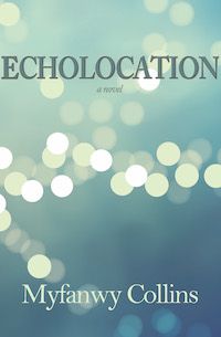Echolocation book cover from Indianapolis press Engine Books.