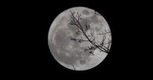moon evening night horror feature