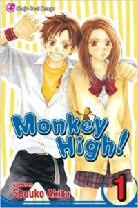 Monkey High cover