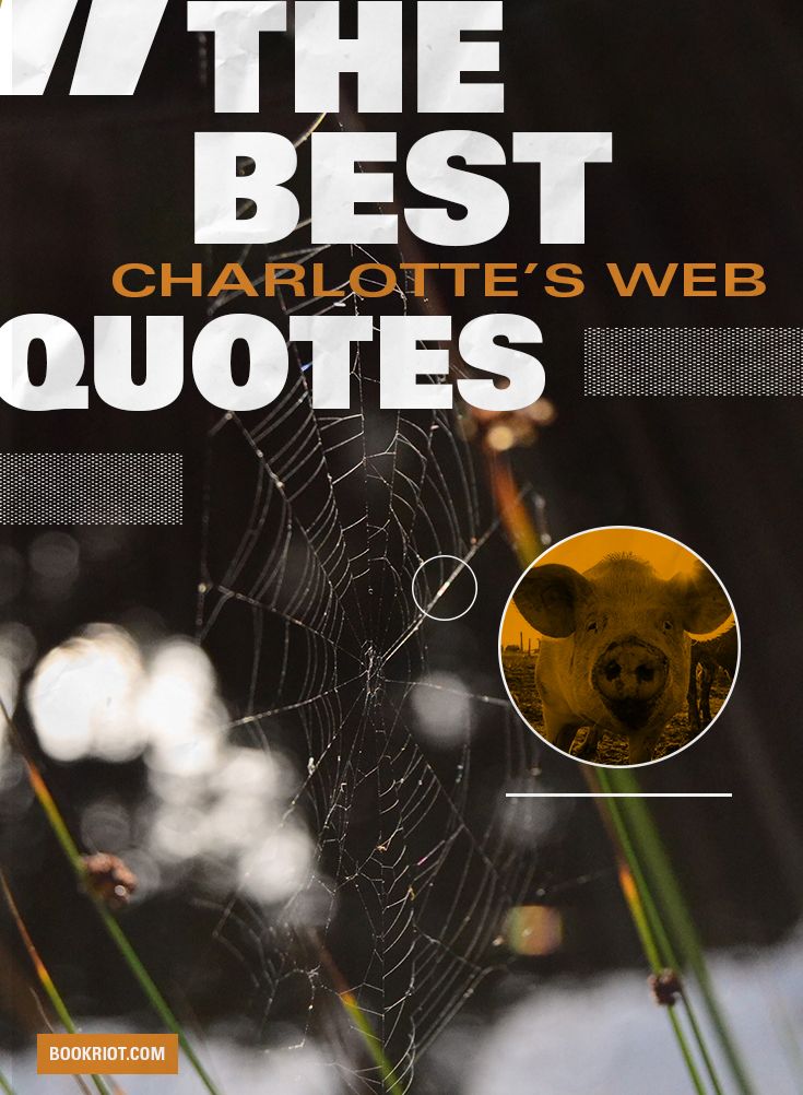 The Best Charlotte's Web Quotes