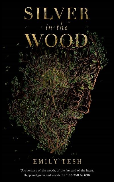 Cover of Silver in the Wood by Tesh