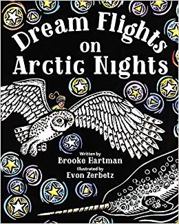 Dream flights on arctic nights book cover