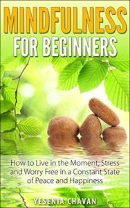 Mindfulness For Beginners by Yesenia Chavan