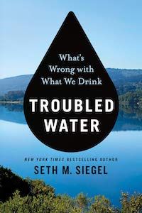 Troubled Water: What's Wrong with What We Drink? by Seth M. Siegel book cover