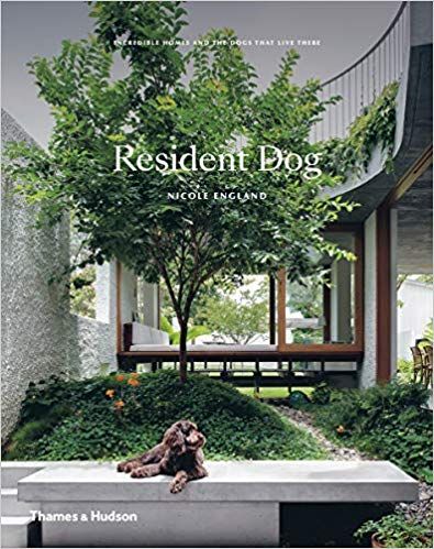 Resident Dog book cover
