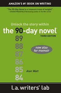 90 Day Novel cover