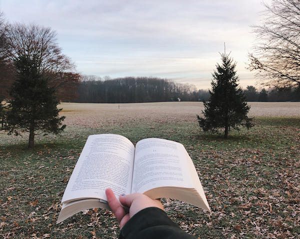 A book held open in front of a frosted winter landscape.