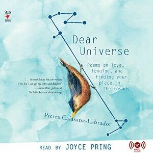 Dear Universe: Poems on Love, Longing, and Finding Your Place in the Cosmos by Pierra Calasanz-Labrador