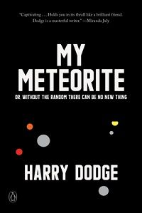 My Meteorite by Harry Dodge cover