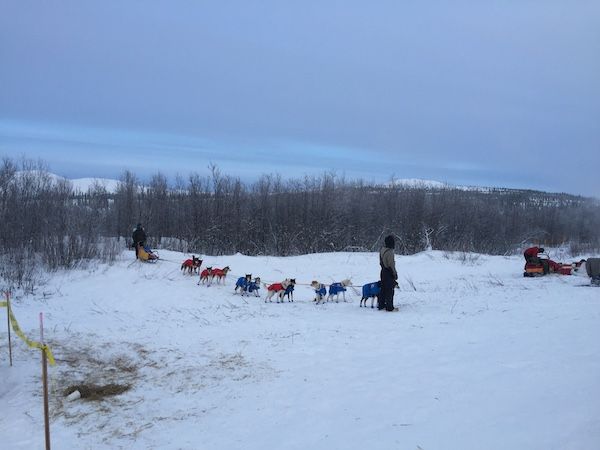 Dogsled team at Mile 101