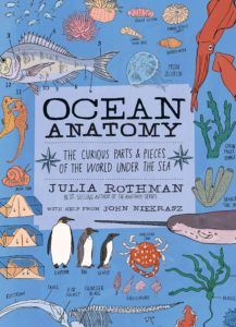 Ocean Anatomy by Julia Rothman
