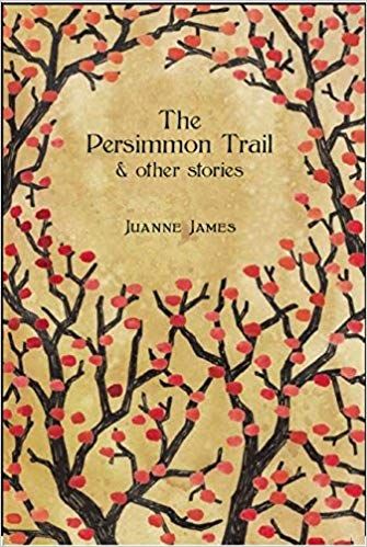Stories of New Orleans: The Persimmon Trail and Other Stories book cover
