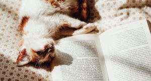 a photo of an open book with a cat laying next to it in bed