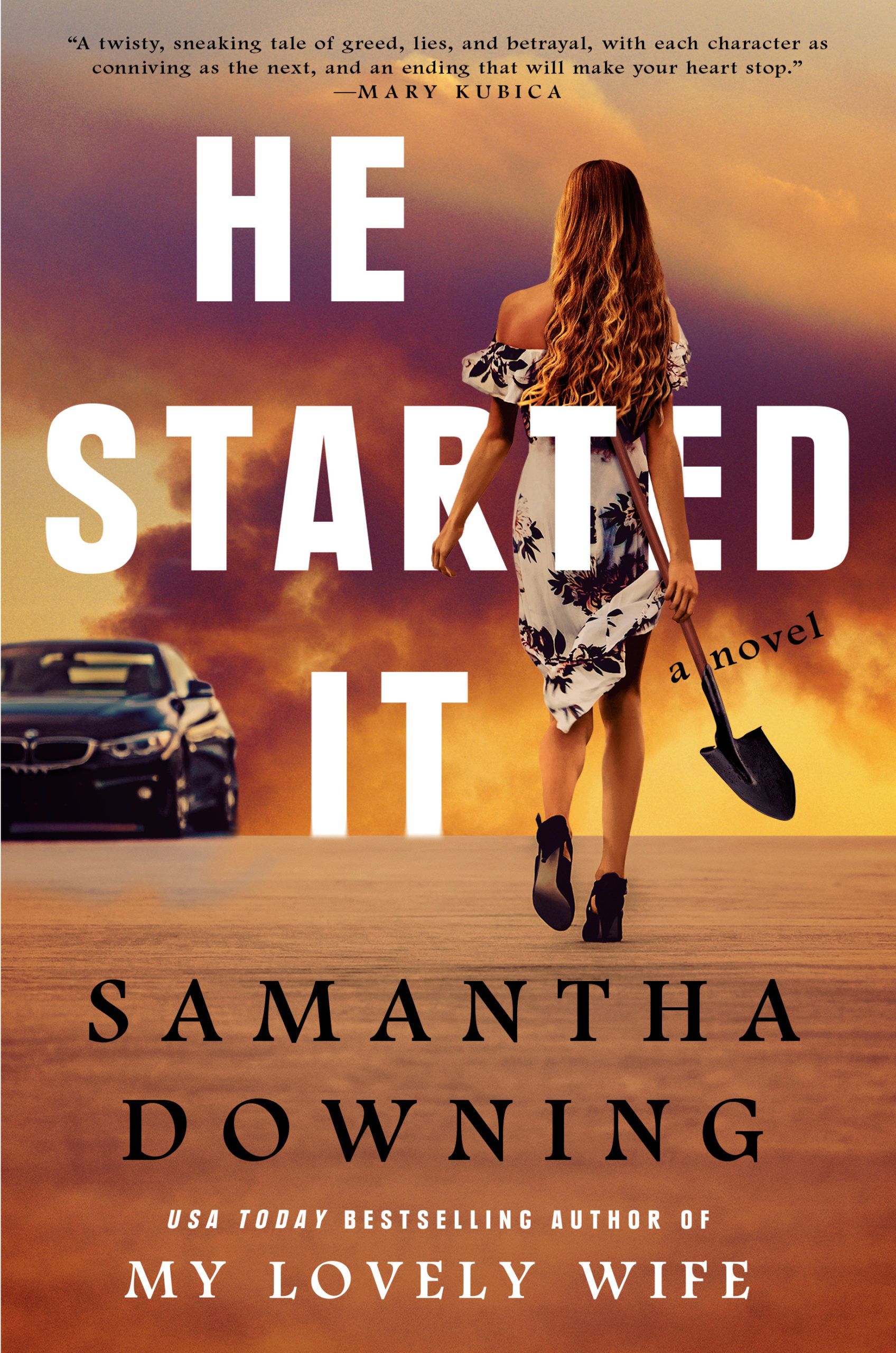 He Started It book cover