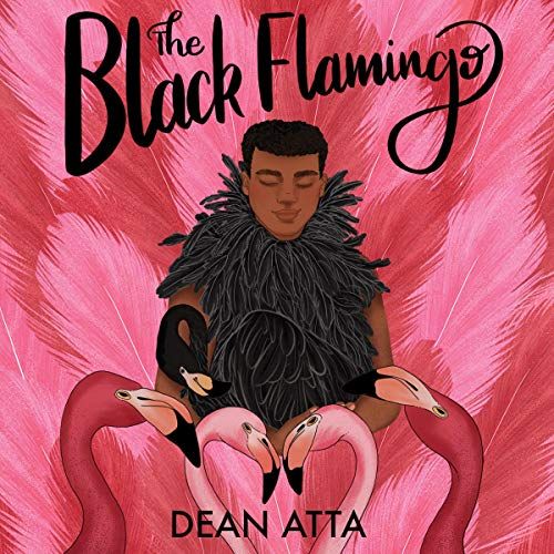 The Black Flamingo by Dean Atta - sexuality 