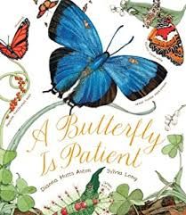 A Butterfly is Patient book cover