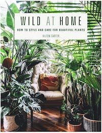 cover of Wild at Home