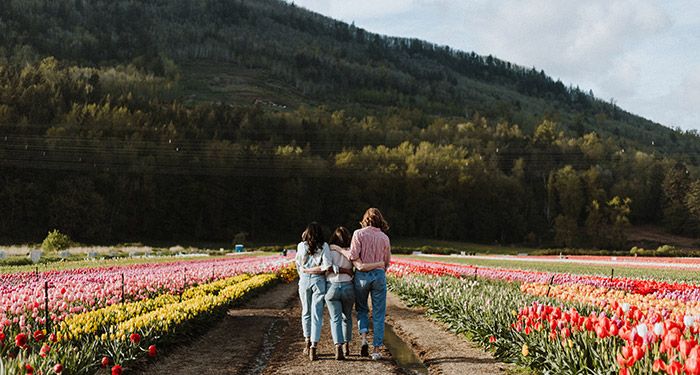 three friends walk down a road through a field of flowers, headed towards a low green mountain. they are of different heights and skin tones and have their arms around each other.