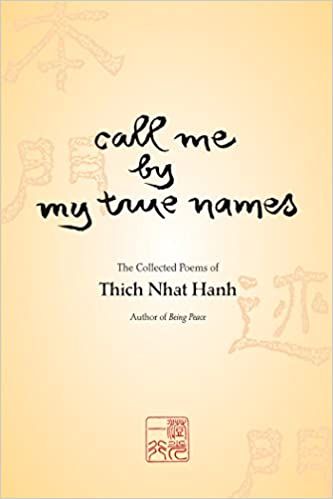 call me by my true names book cover