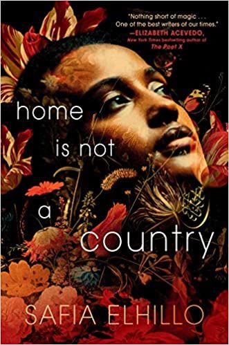 Home is Not a Country book cover