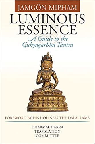 luminous essence book cover