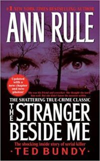 the-stranger-beside-me book cover