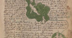 voynich manuscript page showing water nymphs and undecipherable script