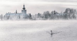 winter fantasy setting in Austria with swan gliding through water
