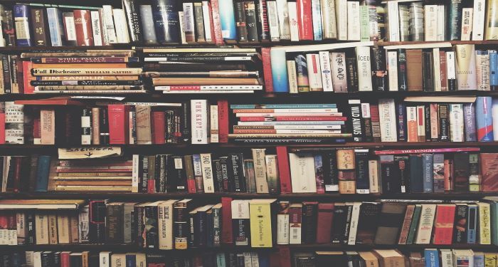 Best Historical Fiction Series. Books on brown wooden shelf. Photo by Ashim D'Silva on Unsplash. Link: https://unsplash.com/photos/P8gLaJ-PZL0