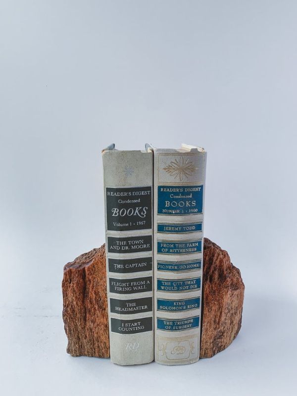 a piece of petrified wood split in two used as bookends