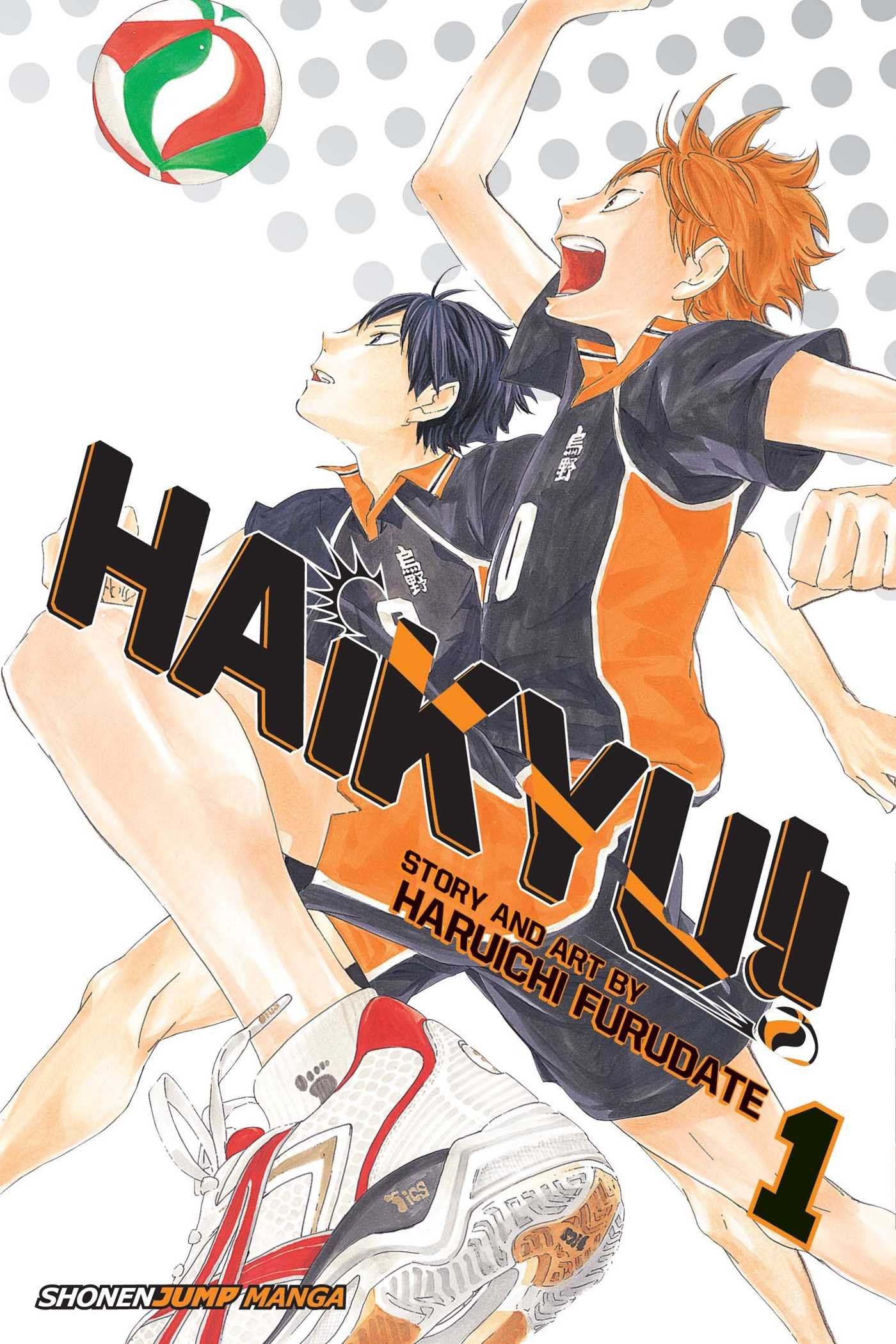 Haikyu!! Volume One Manga Book Cover