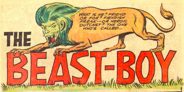 Beast Boy cover