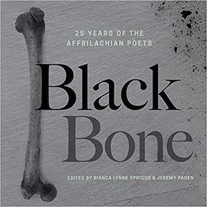 Black Bone book cover