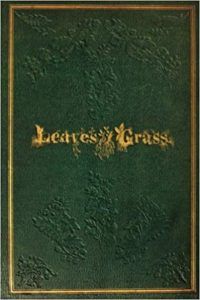 leaves of grass cover