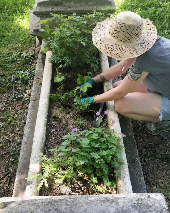 jenn bent over a small cradle grave filled with dirt and bright green foliage; she's weeding and wearing a straw hat, t-shirt, and shorts. photo credit Jenn Northington