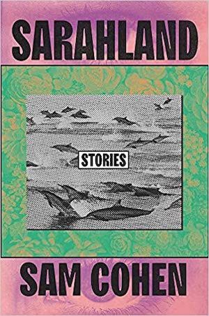 sarahland book cover