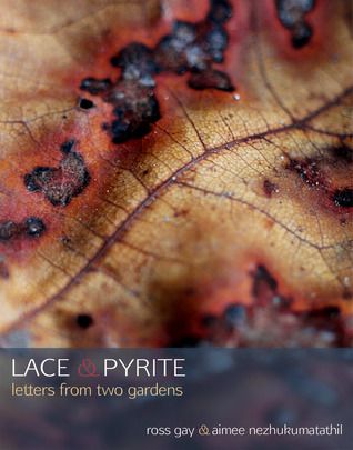 cover image of Lace & Pyrite: Letters from Two Gardens by Aimee Nezhukumatathil and Ross Gay