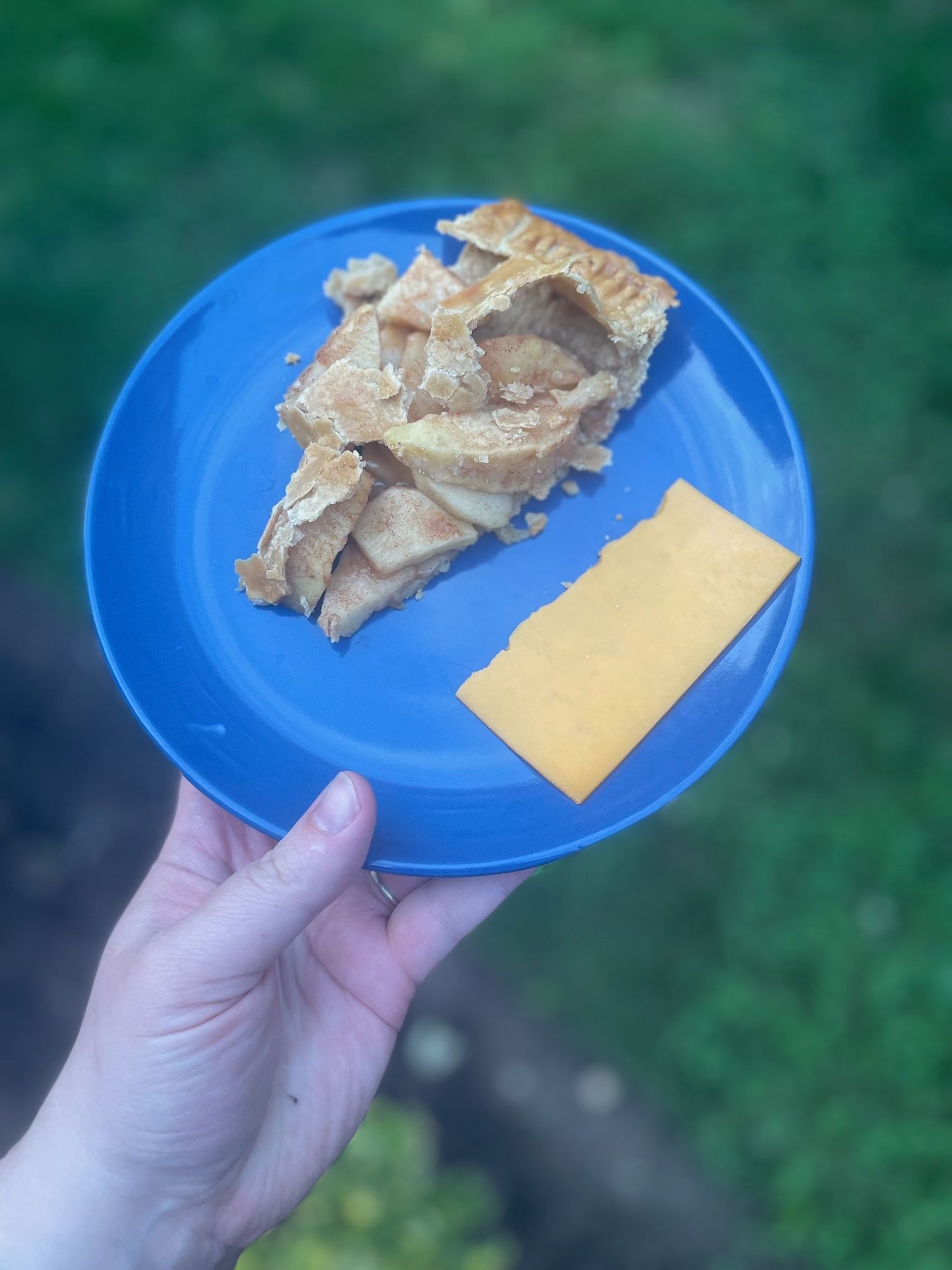 Slice of apple pie with slice of cheddar cheese on blue plate