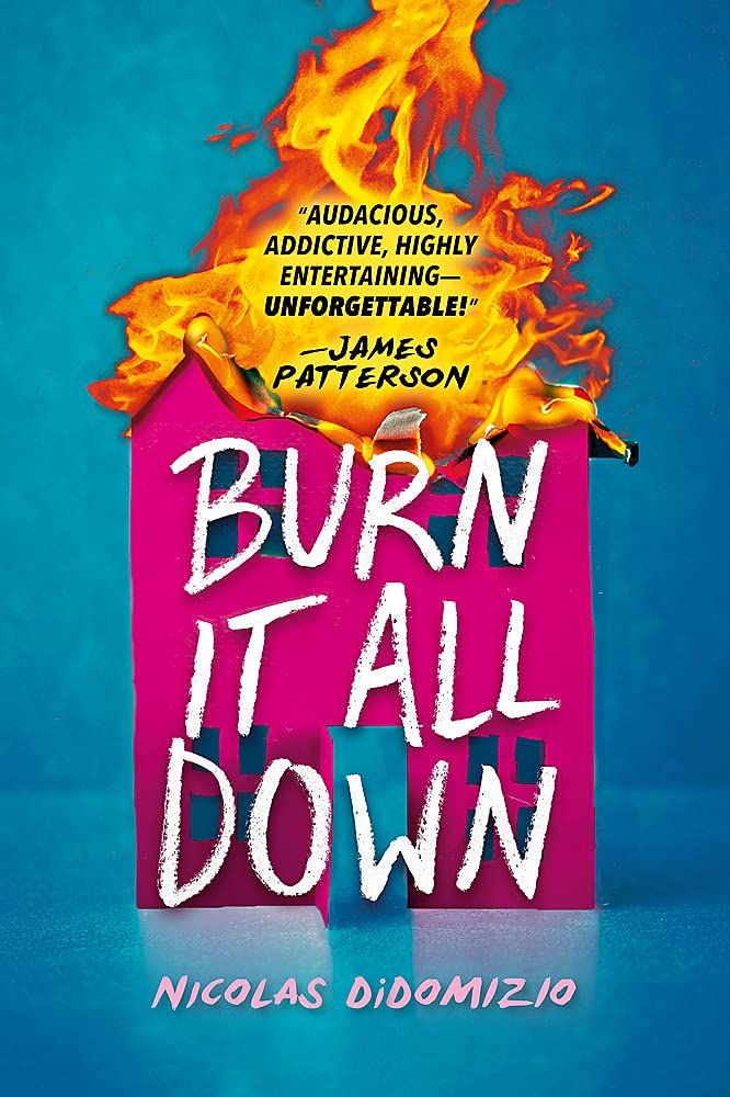Burn It All Down book cover