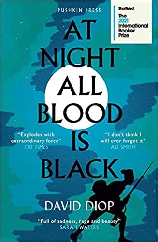 cover image of At Night All Blood is Black by David Diop